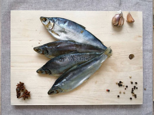 Морской лизун: Пелядь вяленая